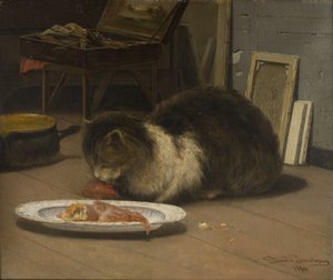 Stüdyodaki Kedi