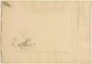 Peyzaj ve Ağaç Çalışmaları verso, c. 1851. by David Johnson