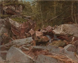 Çalışma, Kuzey Conway, New Hampshire, 1851 by David Johnson