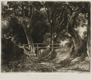 Bir Dell, Helmingham Parkı, Suffolk