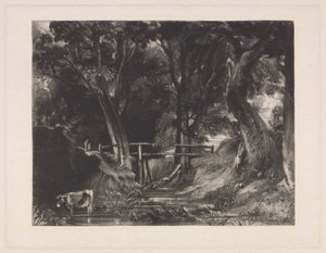 Bir Dell, Helmingham Parkı, Suffolk