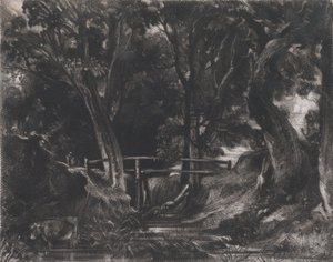 Bir Dell, Helmingham Park, Suffolk, 1830.