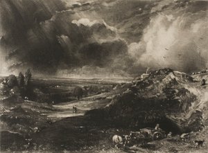 bir çalı by David Lucas