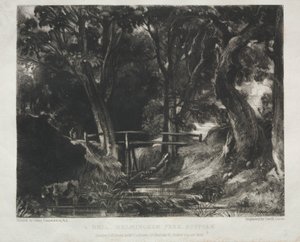 Manzaranın Çeşitli Konuları, John Constable, R.A. Tarafından Boyanmış Resimlerden İngiliz Manzarasının Karakteristikleri: Helmingham Park Ormanında Dell, Suffolk by David Lucas