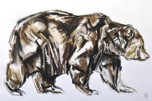 Boz Ayı yürüyüşü, 2012 (kağıt üzerinde Pastel/Conte)