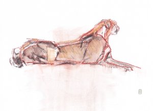 Çita uyarısı, 2019 (kağıt üzerine pastel boya/sulu boya) by David Mayer