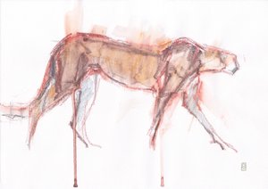 Çita avı, 2019 (kağıt üzerine pastel boya/sulu boya) by David Mayer