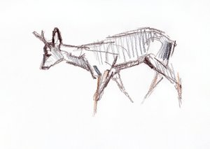 RoeBuck, 2021 by David Mayer