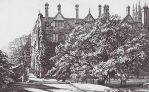 Oxford: The Mulberry, Merton Fellows