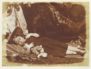 Bedfellows, c.1843-47 (calotype negatiften tuzlu kağıt baskısı)