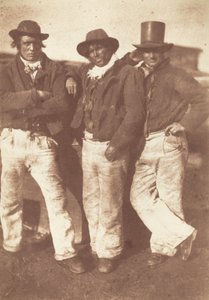 Alexander Rutherford, William Ramsay ve John Linton