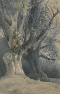 Northwick Park'taki Ağaçlar by David Roberts