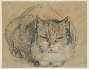 Kedi, #39;Kesilmiş Parmak#39; (recto) için çalışın, 1809 dolayları (siyah, kırmızı ve beyaz tebeşir, kağıt üzerine siyah ve beyaz tebeşir) by David Wilkie