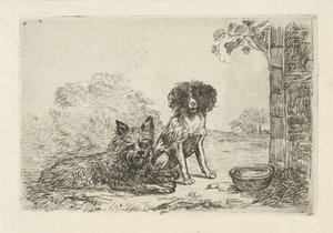 İki köpek
