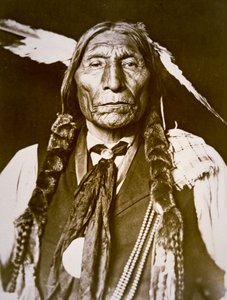 Wolf Robe (d.1841) 1909 (s/b fotoğraf) by DeLancey W. Gill