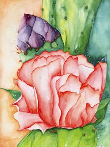  by Deborah Eve Alastra