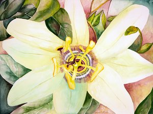  by Deborah Eve Alastra