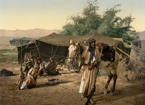 Bedeviler ve Çadırları, Kutsal Topraklar by Detroit Photographic Co.