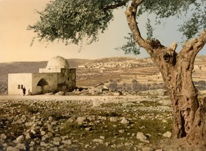 Rahel Mezarı, Kudüs, Kutsal Topraklar, c.1890-c.1900 (fotokrom baskı)