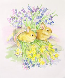 Nergis ve Bluebells ile sepet içinde tavşanlar by Diane Matthes