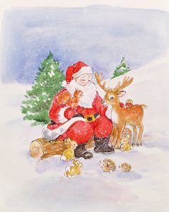 Noel Baba ve Arkadaşları
