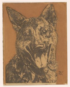köpek