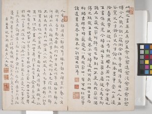 Manzara Resimleri Albümü (kağıt üzerine mürekkep) by Ding Yunpeng
