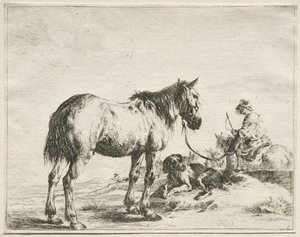 Kazığa Bağlanmış Bir At by Dirck Stoop