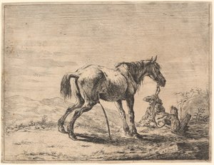 Bir Ahırın Yakınında At Yetiştirmek by Dirck Stoop