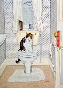 Tuvaletteki Kedi, 1991