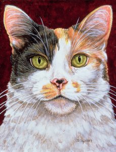 Marigold, 1997 (panelde akrilik)