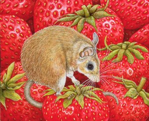 Strawberry-Mouse, 1995 (panel üzeri akrilik) by Ditz