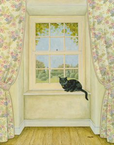 pencere kedisi by Ditz