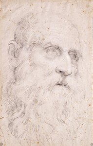 Aziz Jerome Başkanı by Domenichino