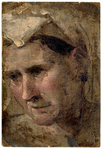  by Domenico Beccafumi