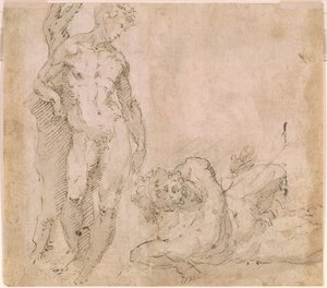 by Domenico Beccafumi