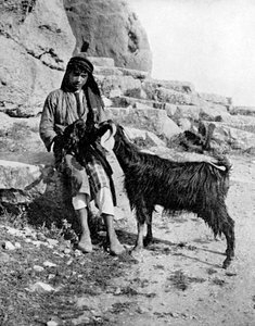 Arap oğlan ve keçi, Orta Doğu, 1936.