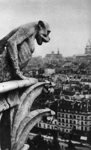 Taş iblis, Notre Dame, Paris, Fransa, c1930