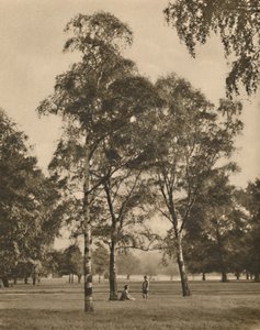 Yaprakların Dantel İşi: Hyde Park