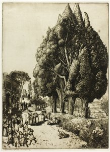 selvi korusu by Donald Shaw MacLaughlan
