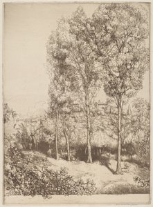 Güneş Işığı ve Gölgeler, No. 3 by Donald Shaw MacLaughlan