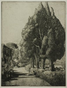 Selvi Korusu by Donald Shaw MacLaughlan