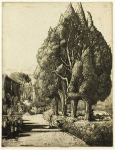 Selvi Korusu by Donald Shaw MacLaughlan