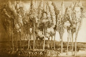  by Donald Shaw MacLaughlan