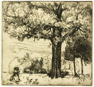 Büyük Meşe by Donald Shaw MacLaughlan
