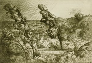  by Donald Shaw MacLaughlan