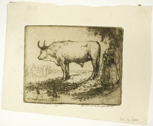 Beyaz Öküz by Donald Shaw MacLaughlan