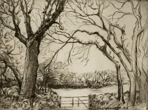  by Donald Shaw MacLaughlan