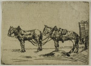 İki at by Donald Shaw MacLaughlan