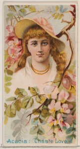 Akasya: İffetli Aşk, Çiçek Güzellikleri ve Çiçeklerin Dili N75 serisinden Duk..., 1892.